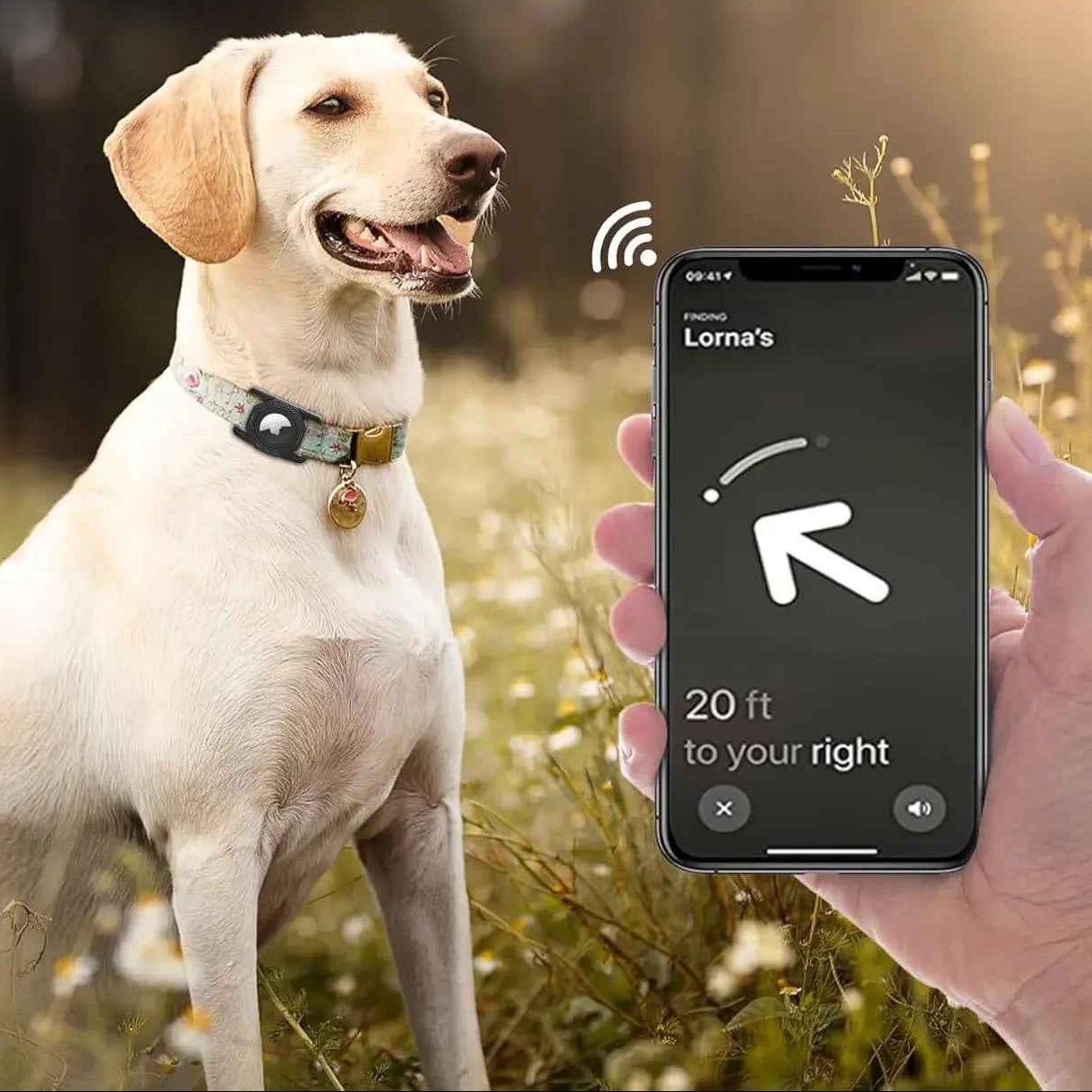 Étui AirTag pour chiens : gardez votre animal en sécurité
